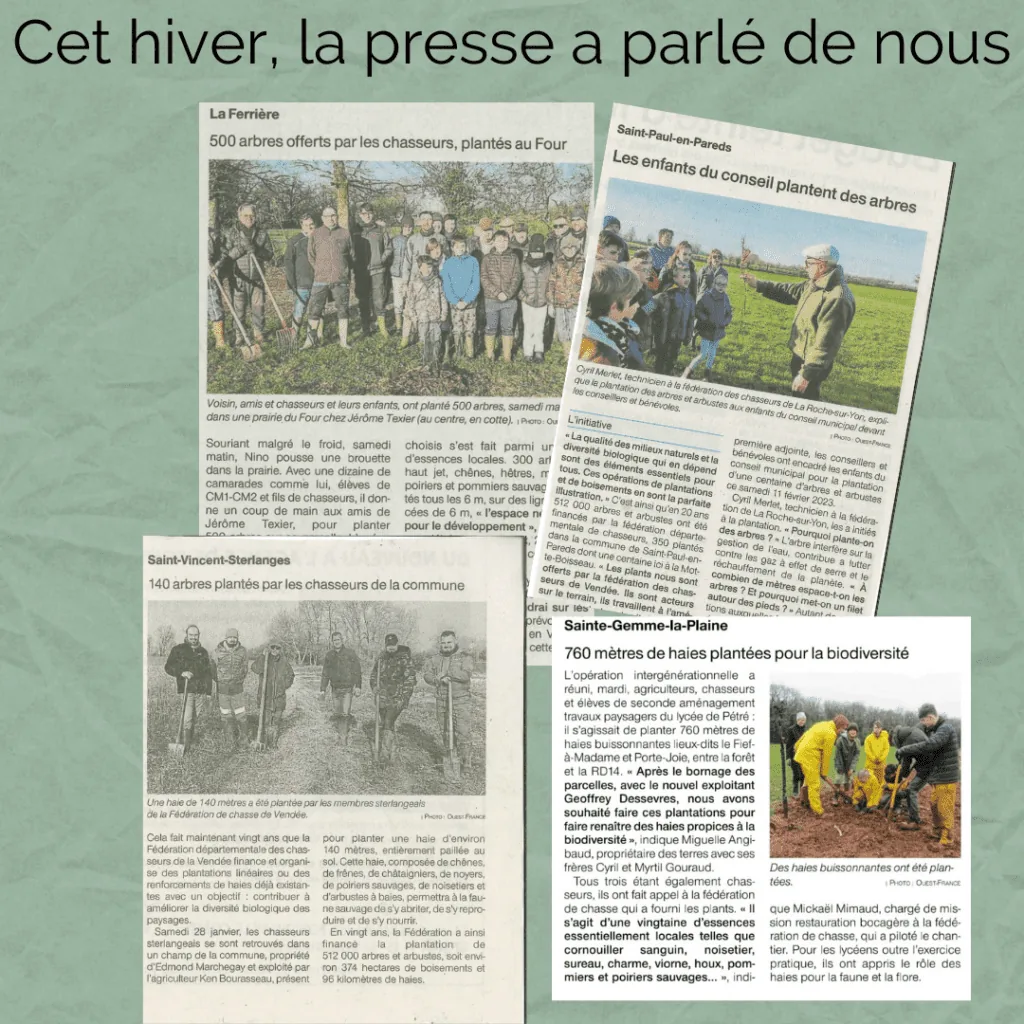 Illustration de l’article « Clap de fin pour les plantations ! »