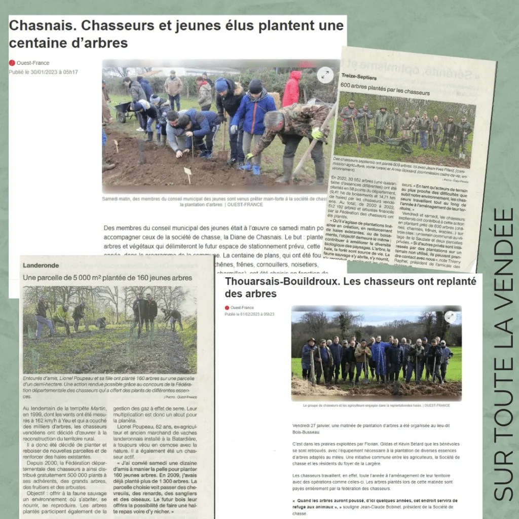 Illustration de l’article « Clap de fin pour les plantations ! »