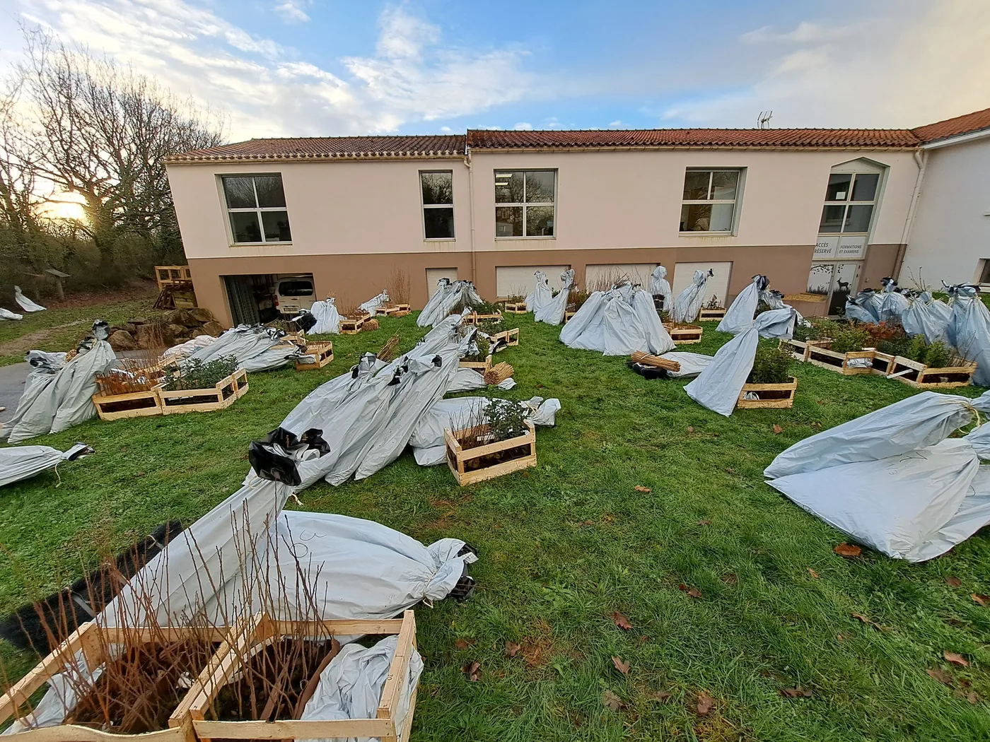 Clap de fin pour les plantations !