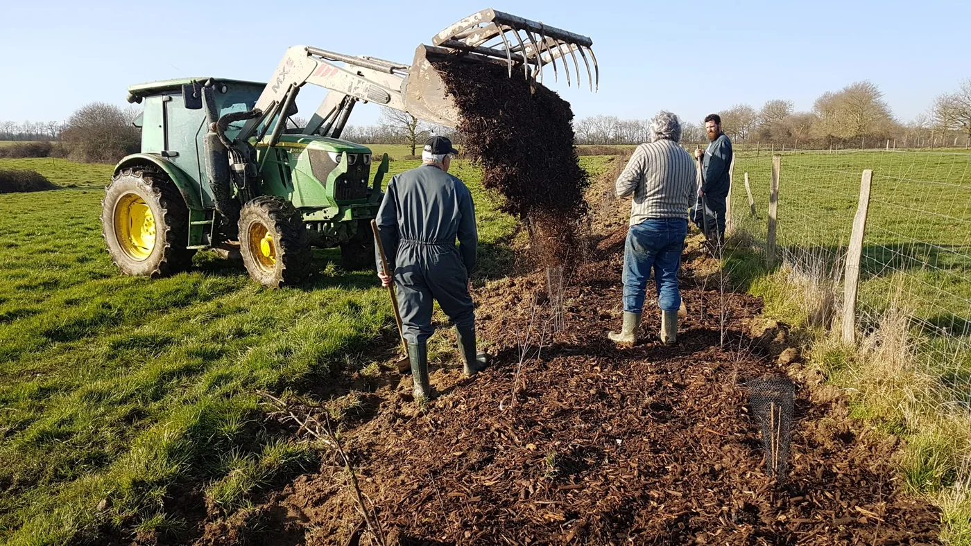 Illustration de l’article « Encore des plantations »