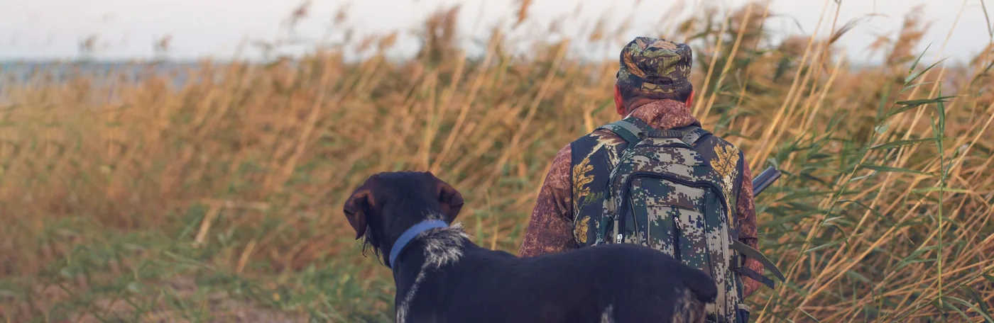 Étude de la chasse en France