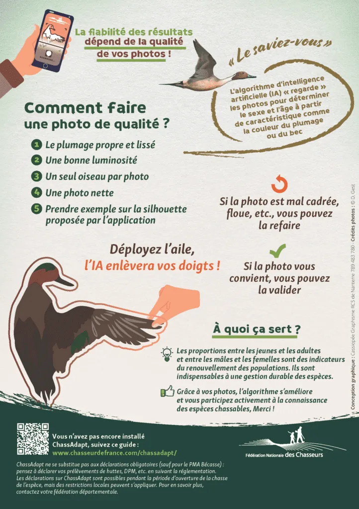 Illustration de l’article « Je participe à la récolte d'ailes »