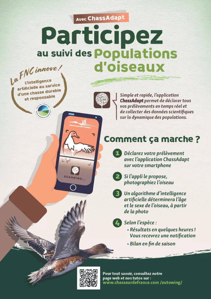 Je participe à la récolte d'ailes