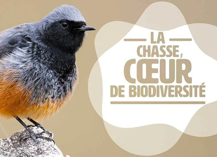 La chasse, au cœur de la biodiversité