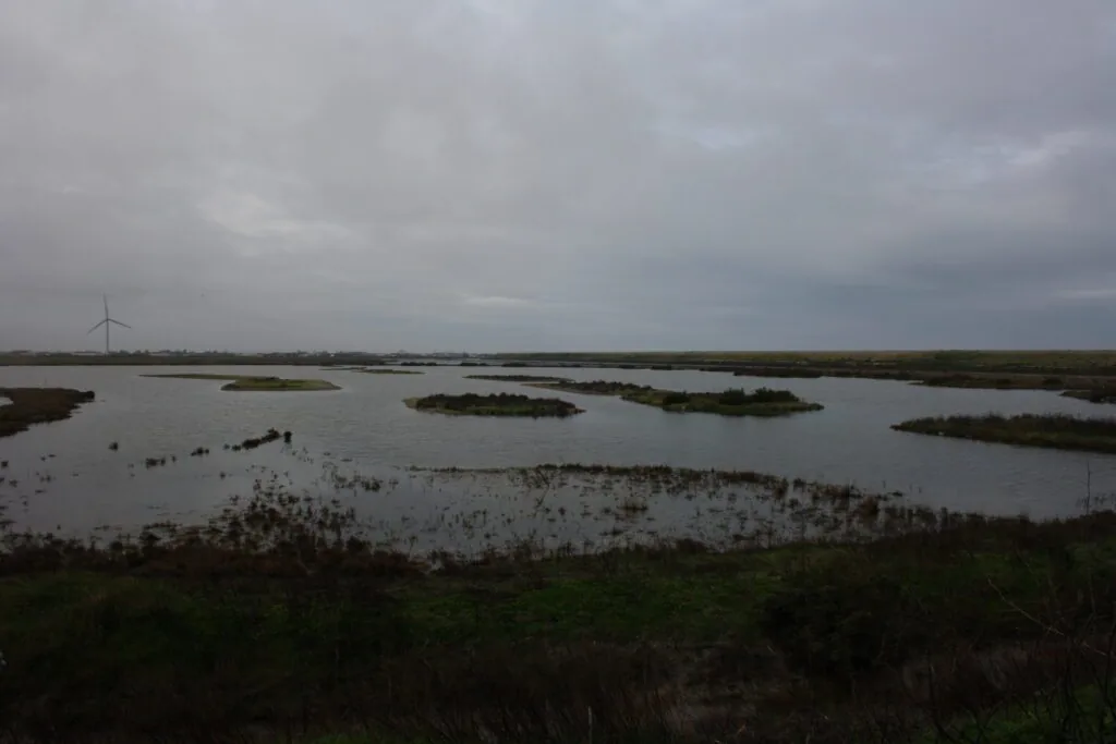Lagune de Bouin