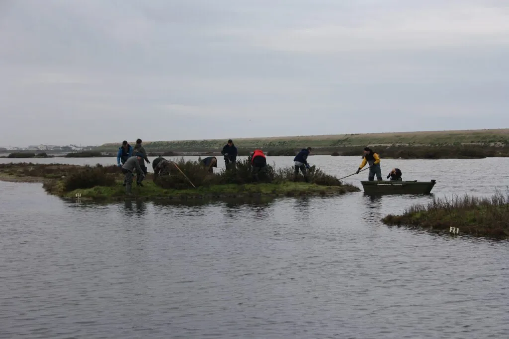 Illustration de l’article « Opération nettoyage à la Lagune de Bouin »