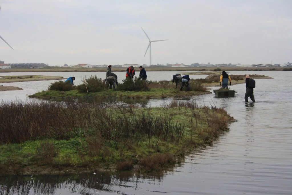 Illustration de l’article « Opération nettoyage à la Lagune de Bouin »