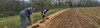 Illustration de l’article « Les bons gestes pour réussir sa plantation »
