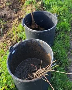 Illustration de l’article « Les bons gestes pour réussir sa plantation »