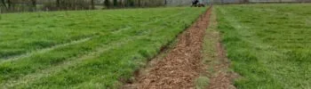 Illustration de l’article « Les bons gestes pour réussir sa plantation »