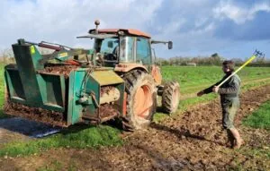 Illustration de l’article « Les bons gestes pour réussir sa plantation »