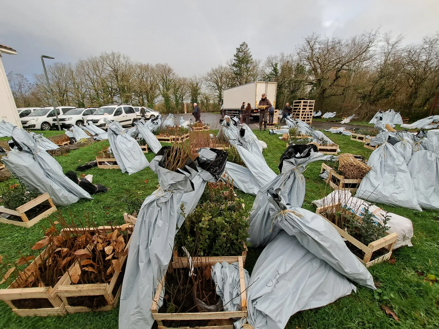 Les bons gestes pour réussir sa plantation