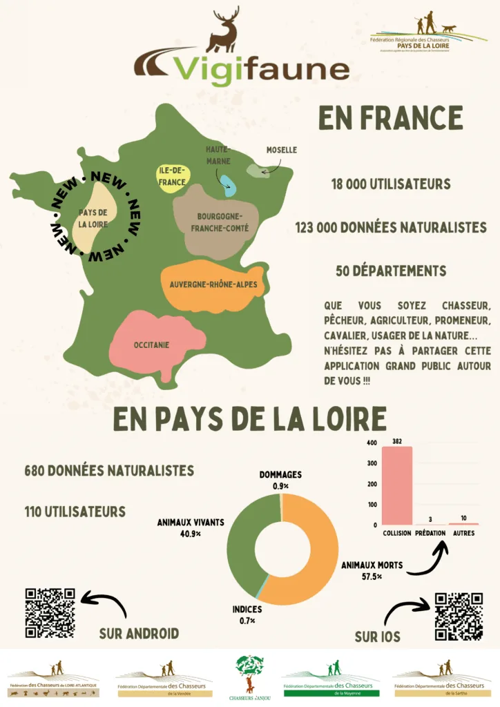 Illustration de l’article « Vigifaune »