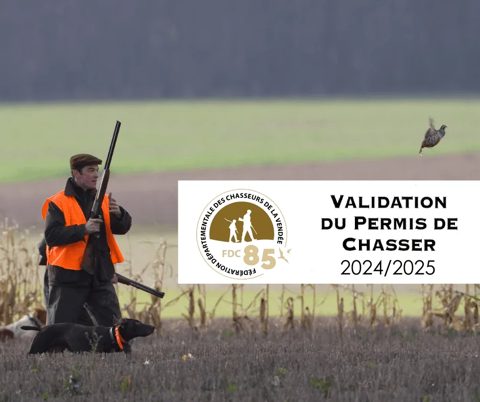 Votre validation en ligne fait peau neuve !